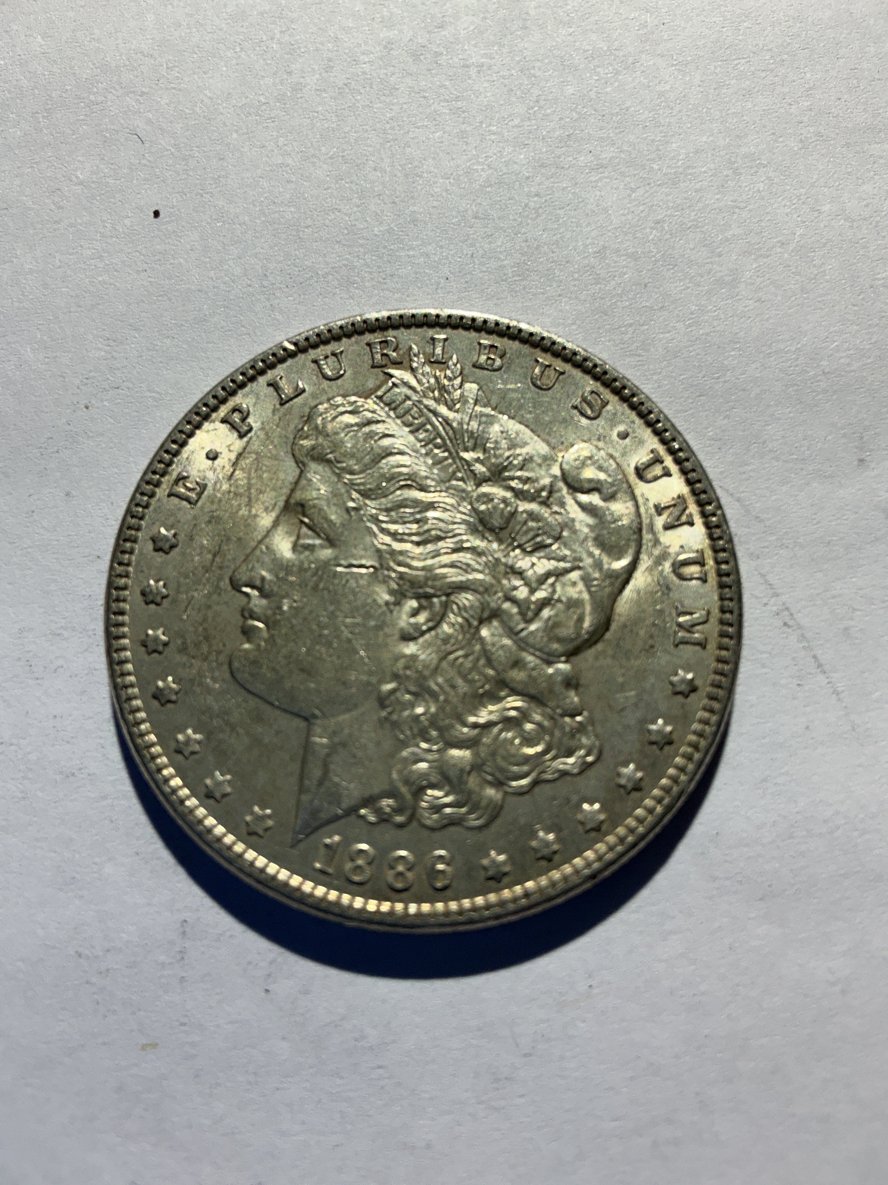 Lot 49, 1886 Morgan silver dollar, AU