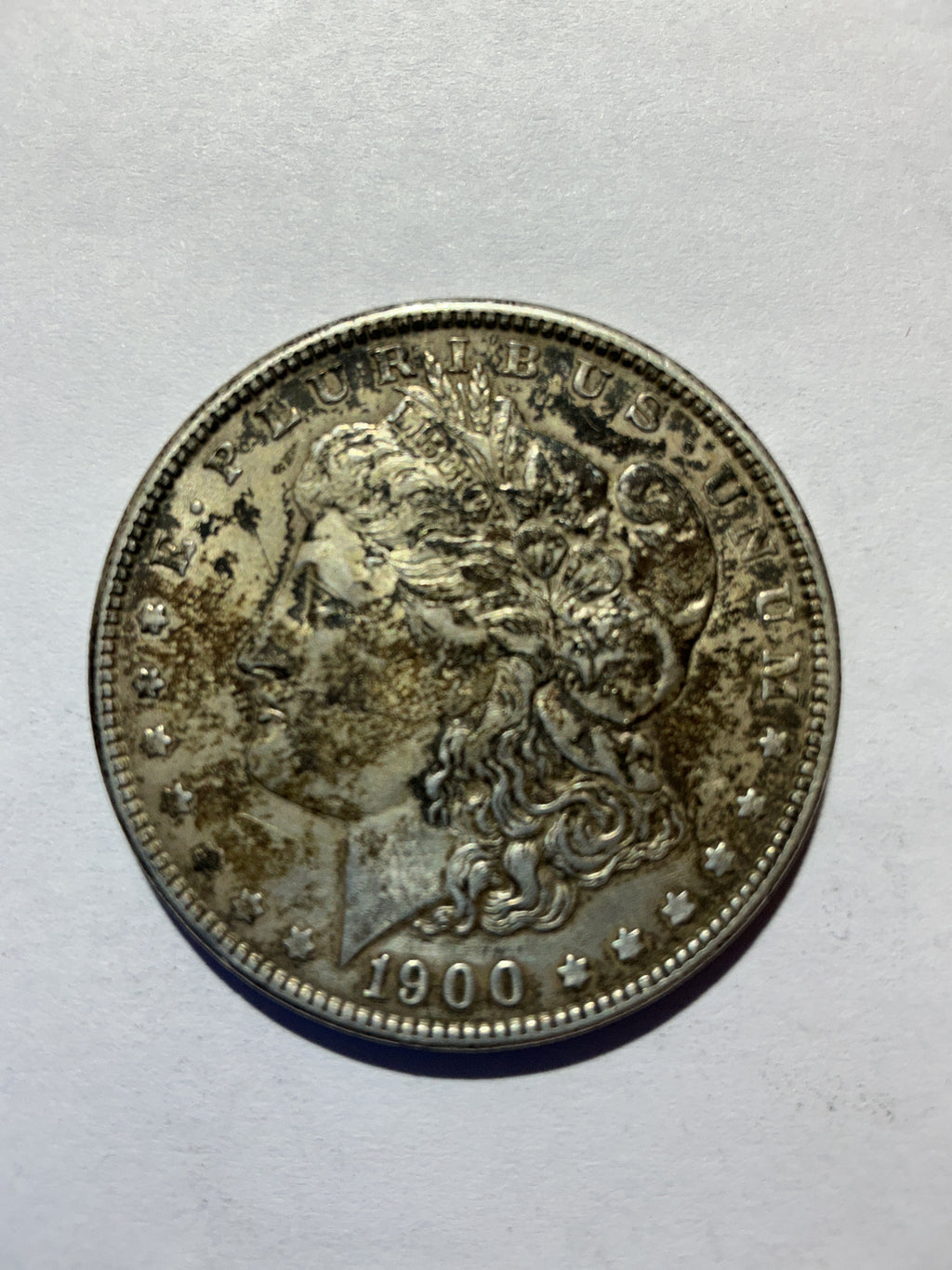 Lot 17, 1900 Morgan silver dollar, xf