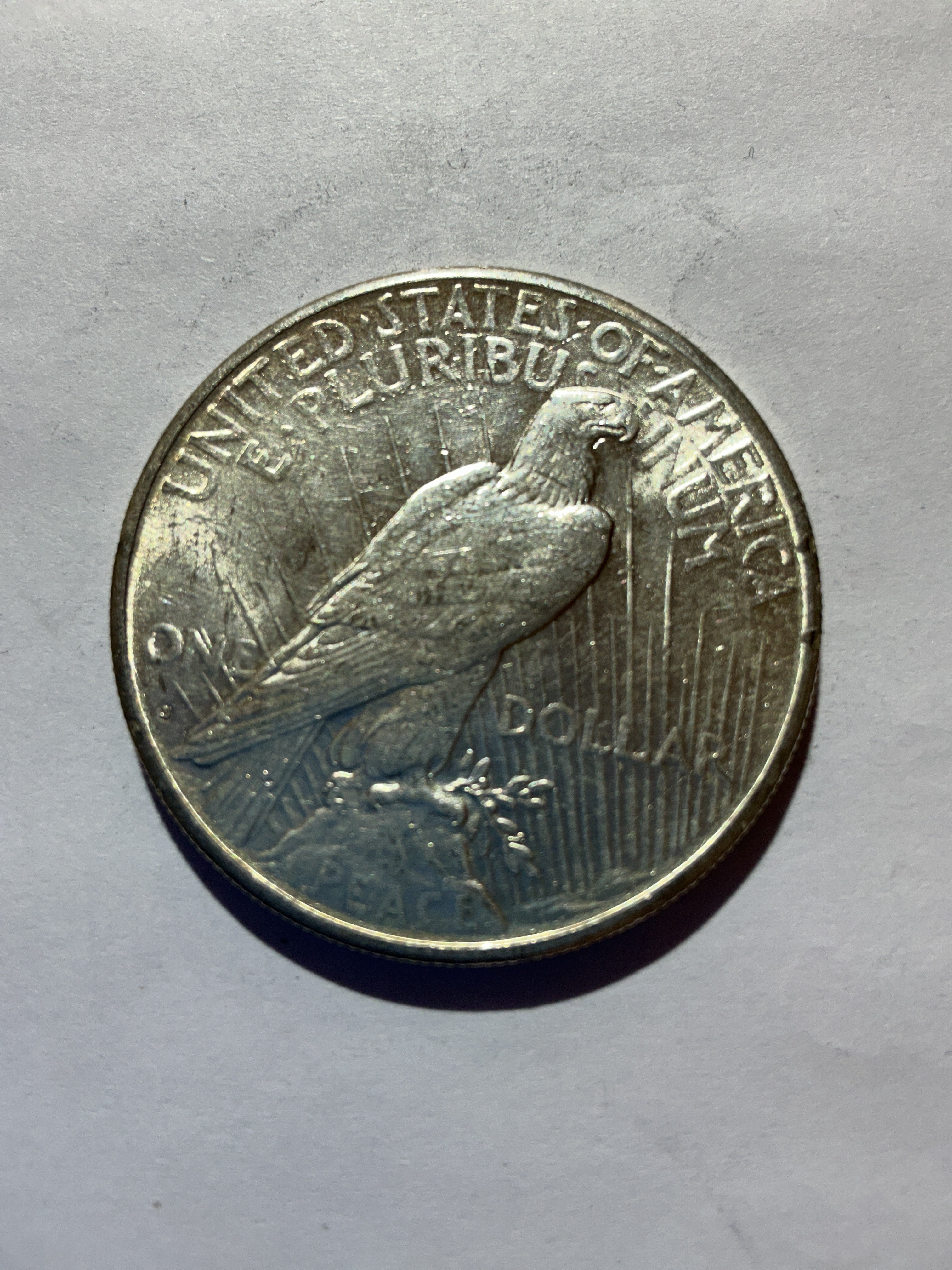 Lot 26, 1922 S Peace dollar , AU