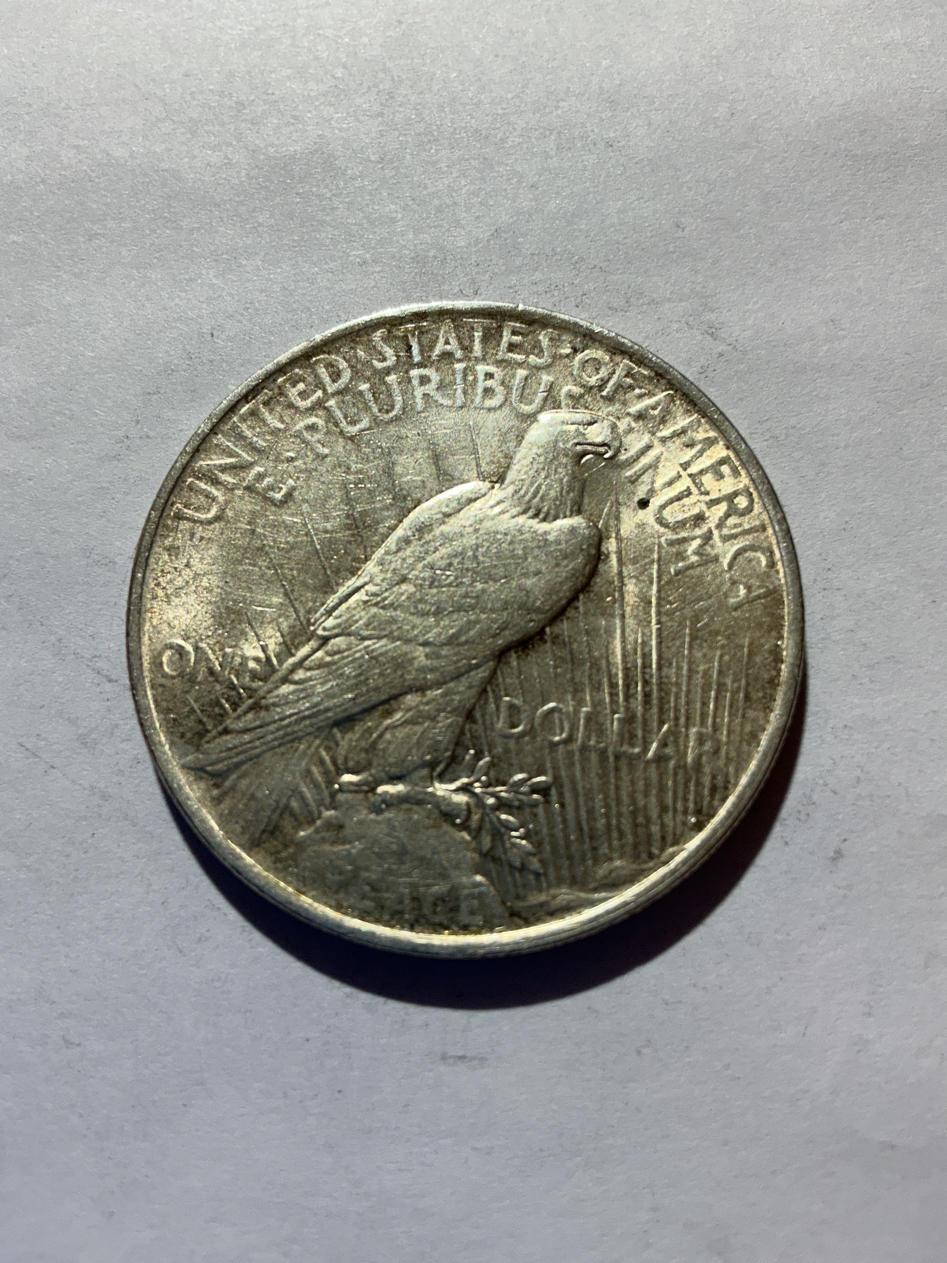 Lot 32, 1923 Peace dollar, AU