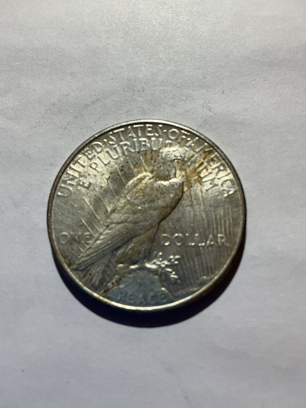 Lot 25, 1922 S Peace dollar, AU